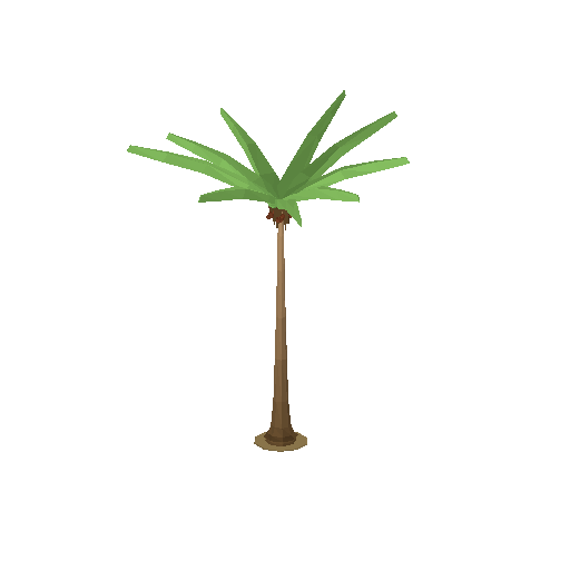 Date Palm
