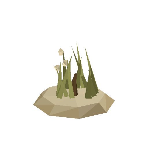 Desert Scrub