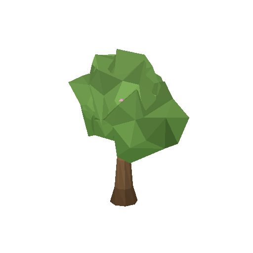 Park Tree 01